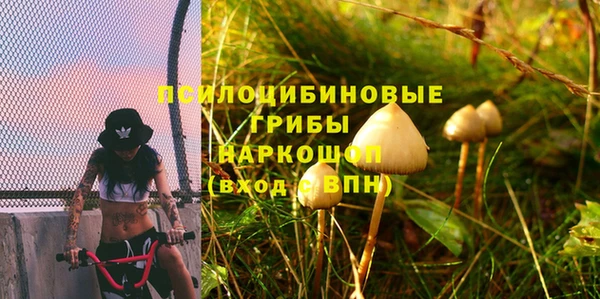 мдпв Беломорск