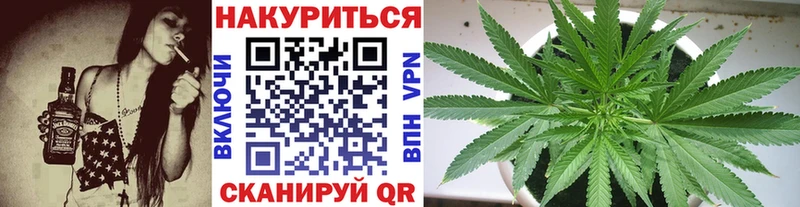 Марихуана план  Черногорск 